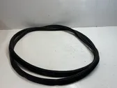 Trunk rubber seal (body)