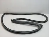 Front door rubber seal