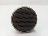 Front door high frequency speaker