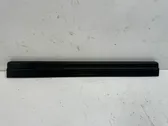 Rear sill trim cover