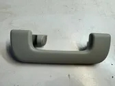 Rear interior roof grab handle