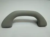 Front interior roof grab handle