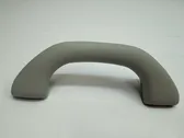 Front interior roof grab handle