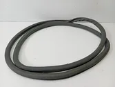 Rear door rubber seal (on body)