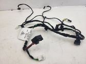 Rear door wiring loom