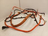 Other wiring loom