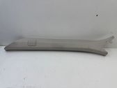 (A) pillar trim