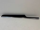 Other front door trim element