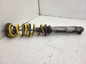 Rear shock absorber/damper