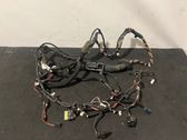 Front door wiring loom