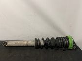 Rear shock absorber with coil spring