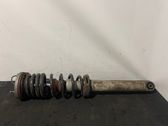 Front shock absorber/damper