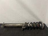 Front shock absorber/damper