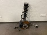 Front wheel hub spindle knuckle