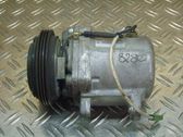 Klimakompressor Pumpe