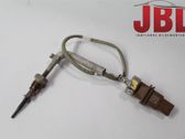 Abgastemperatursensor