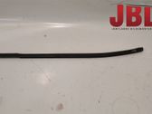 Rear door trim (molding)