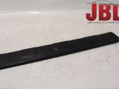 Front door trim (molding)