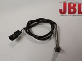 Abgastemperatursensor