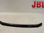 Engine hood trim