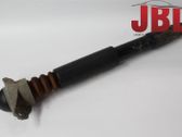Stoßdämpfer hinten