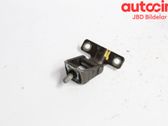 Tailgate/trunk/boot hinge
