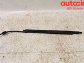 Tailgate/trunk strut/damper