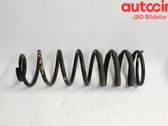 Rear coil spring