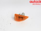 Front fender indicator light