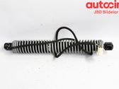 Tailgate/trunk strut/damper