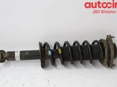 Rear shock absorber/damper