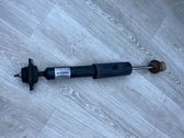 Rear shock absorber/damper