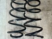 Front coil spring