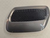 Grille calandre de capot