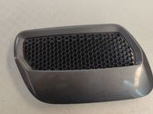 Bonnet/hood grill
