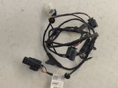 Other wiring loom