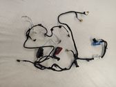 Other wiring loom