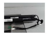 Tailgate/trunk strut/damper