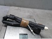 Roof airbag