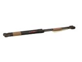 Tailgate/trunk strut/damper