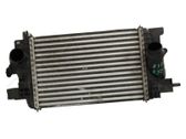 Intercooler radiator