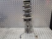 Front shock absorber with coil spring
