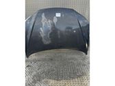 Motorhaube