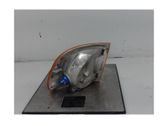 Seitenblinker