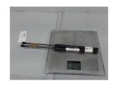 Tailgate/trunk strut/damper
