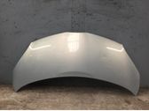 Motorhaube