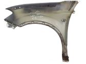 Fender