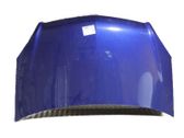 Motorhaube