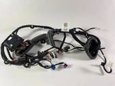Front door wiring loom
