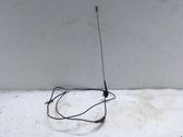 Antenna autoradio